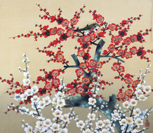 19.紅白梅F10.jpg 19.紅白梅F10.jpg