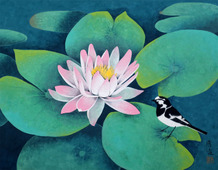 23.水連F6.jpg 23.水連F6.jpg