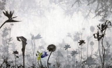 secretgarden-no2.jpg secretgarden-no2.jpg