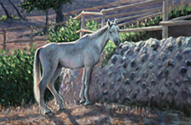 26-白い馬.jpg 26-白い馬.jpg