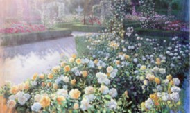 Rosaleda de buen Retiro 黄色いバラに射す光.jpg Rosaleda de buen Retiro 黄色いバラに射す光.jpg