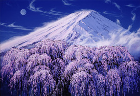 仁島倉.JPG