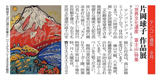 片岡記事＿テンコレクションのコピー.jpg