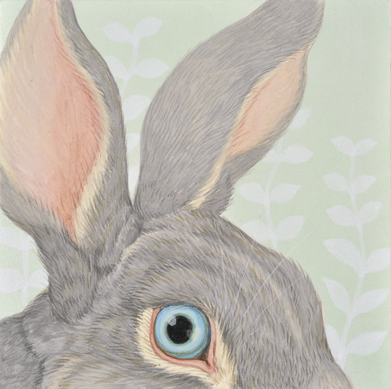 eyes of rabbit.jpg eyes of rabbit.jpg