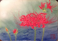 曼珠沙華２.jpg