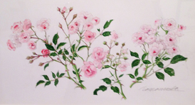 TINY ROSES.jpg