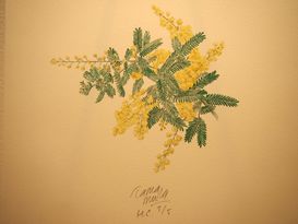 ミモザ２５cm×２４cmリトグラフ.JPG
